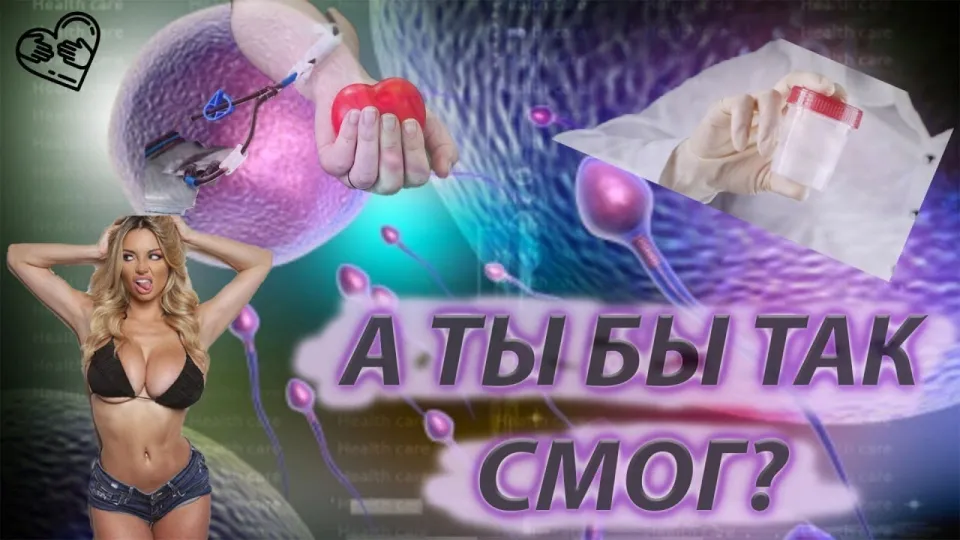 Интересные факты о добрых делах и миссионерах в 2026 году